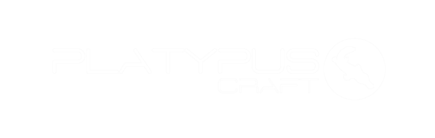 Platypus Craft